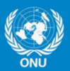 Logo ONU