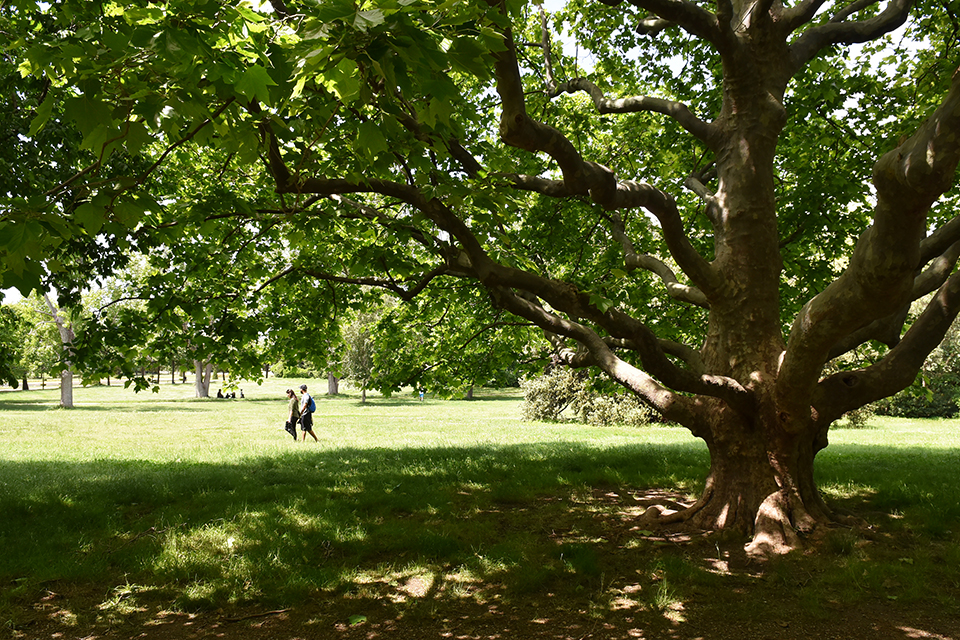 Parco Borély © Città di Marsiglia